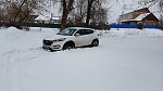     . 

:	20160302_124722.jpg 
:	108 
:	161.8  
ID:	1189
