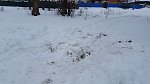     . 

:	20160302_133819.jpg 
:	100 
:	118.3  
ID:	1190