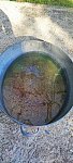     . 

:	IMG_20220813_083801.jpg 
:	90 
:	248.1  
ID:	13713