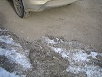     . 

:	IMG_8562.jpg 
:	69 
:	240.7  
ID:	1376