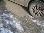     . 

:	IMG_8567.jpg 
:	59 
:	256.7  
ID:	1381