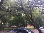     . 

:	IMG_1082.jpg 
:	94 
:	393.6  
ID:	3630