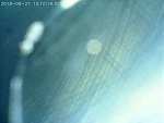    . 

:	2018-08-27 14-42-22_1535372453493.JPG 
:	143 
:	73.0  
ID:	7014