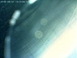     . 

:	2018-08-27 14-42-22_1535372460209.JPG 
:	75 
:	67.5  
ID:	7016