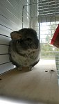     . 

:	IMG_20180929_095701.jpg 
:	13 
:	101.1  
ID:	8397