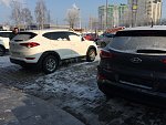     . 

:	IMG_1859.jpg 
:	49 
:	242.6  
ID:	905