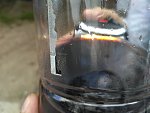     . 

:	IMG_20190526_131257.jpg 
:	113 
:	133.2  
ID:	9224