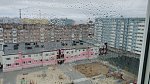     . 

:	20190601_165751.jpg 
:	178 
:	203.6  
ID:	9264