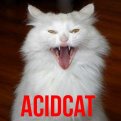   ACIDCAT